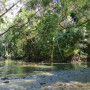 Emmagen Creek