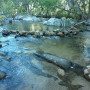 Emerald Creek